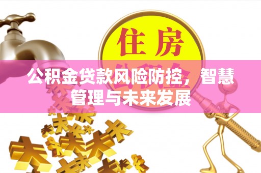鹤壁公积金贷款风险防控，智慧管理与未来发展
